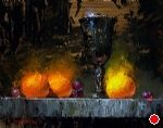 Three Clementines by David Cheifetz Oil ~ 8 x 10