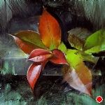 Leaves by David Cheifetz Oil ~ 6 x 6